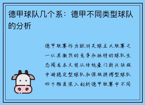 德甲球队几个系：德甲不同类型球队的分析